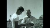 ABC News: Generational change for Italian migrants, 1958