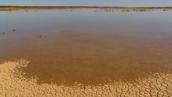 Catalyst: Water through cracked soil