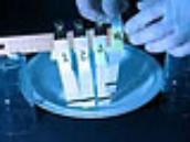 experiMENTALS: ink chromatography