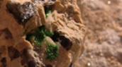 Uranium Minerals