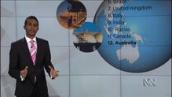 ABC News: Australians as global citizens
