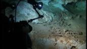 Foreign Correspondent: Prehistoric evidence