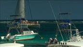 Foreign Correspondent: Mesoamerican Reef threatened