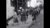 This Day Tonight: Married women and work in 1960s Australia