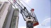 ABC 7.30: If you build it, they will come
