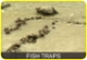 What have we got here: fish traps