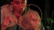 Experimentals: Raiders of the lost Anti-Bubble