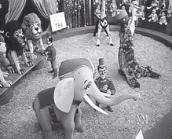 In the past: Christmas in the city