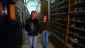 Foreign Correspondent: Legacy of Nazism in modern Vienna