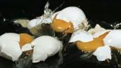 Chemistry of rotten eggs, and more