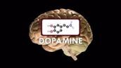 Awake the mind with caffeine chemistry