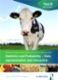 Statistics and Probability - data representation and interpretation (Dairy Herd Data)