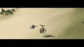 The Sea Turtle and the Osprey