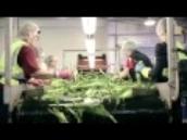 Rugby Farms  – Horticulture and changes in farming practice
