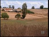 For the Juniors: Effects of dry weather