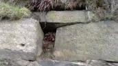Digging into the Stanza Stones