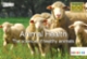 Animal Health: the science of healthy animals