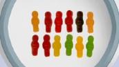 Numbers Count: What are factors?
