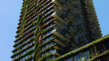 Catalyst: Why plants are good for liveable cities