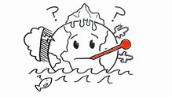 Understanding the causes of climate change