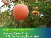 Growing Exotic Fruit - a niche farming enterprise