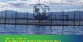 Salmon Growing in Tasmania: video