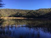 Water use and efficiency – sustainability action process (Years 7–10)
