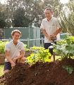 Kitchen gardens – sustainability action process (Years 7–10)