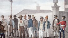 The convict voyages