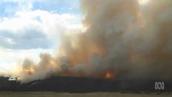 Catalyst: What is a megafire?