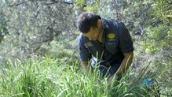 Walking on Aboriginal land