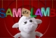Sam the Lamb: needs of sheep