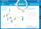 Playing for life activity cards (F-2)