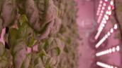 Catalyst: What are modular farms?