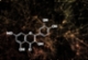 Vitamania: vitamin profiles