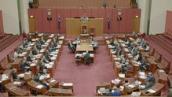 The House In Session, Ep 5: Writing amendments in the Senate