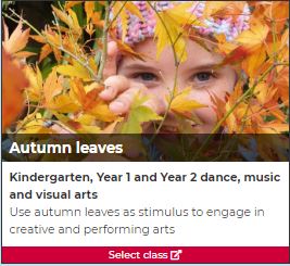 Autumn leaves