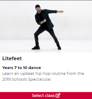 Litefeet