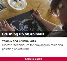 Brushing up on animals