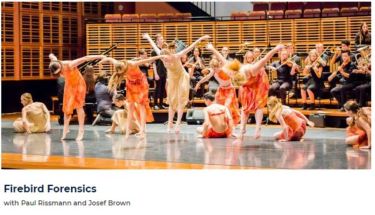 Firebird Forensics