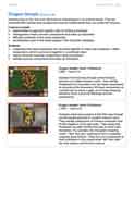 Dragon temple: series description 