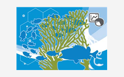 M008910 Chlorophyll monitoring program: datasets