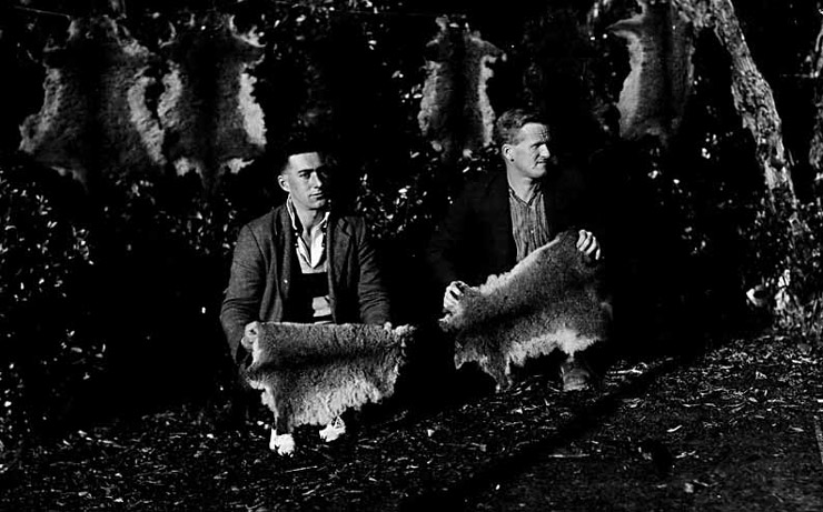 Possum trappers