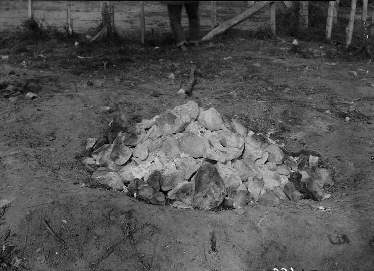 Traditional Mäori cooking, 1923