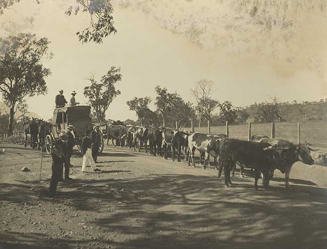 Touring possible sites for the federal capital, 1902