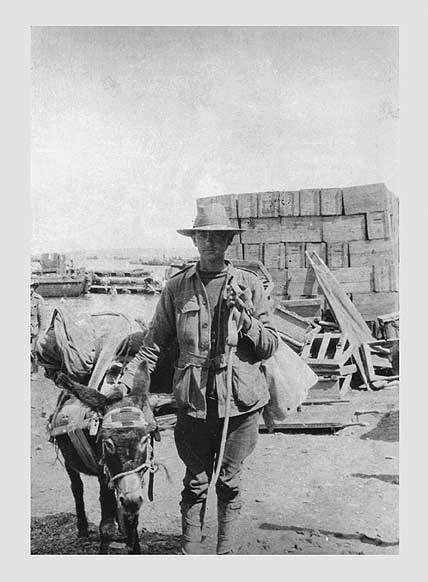 Simpson with his donkey at Gallipoli, 1915 - asset 2