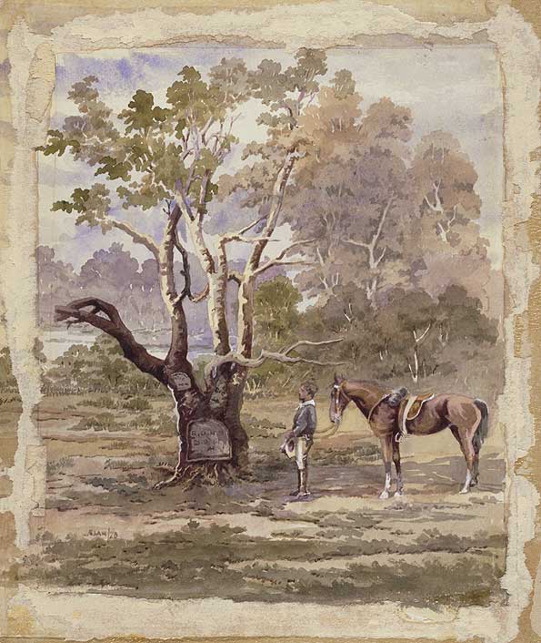 The 'Dig' tree in 1878