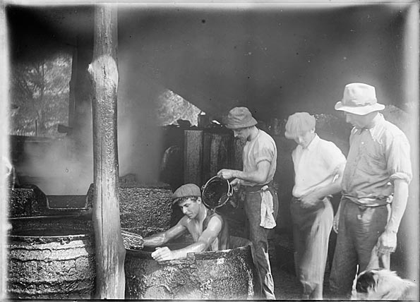 Whale oil as a cure for rheumatism, Twofold Bay, early 1900s