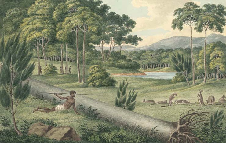 Indigenous Australians hunting kangaroos, c1817