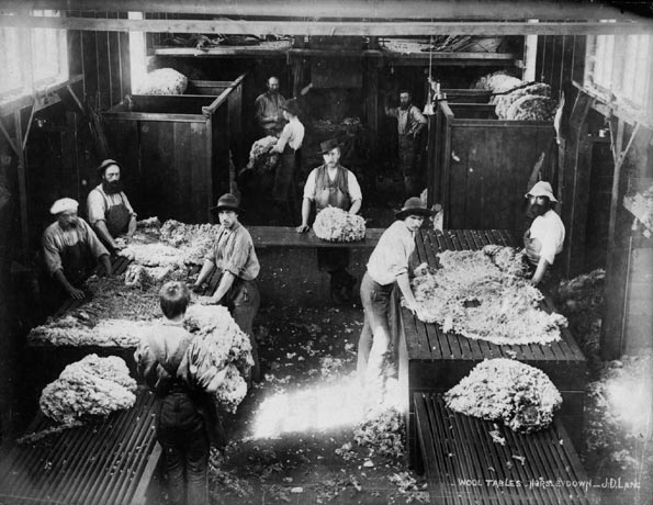 ‘Wool tables, Horsley Downs - J D Lang’, 1880s